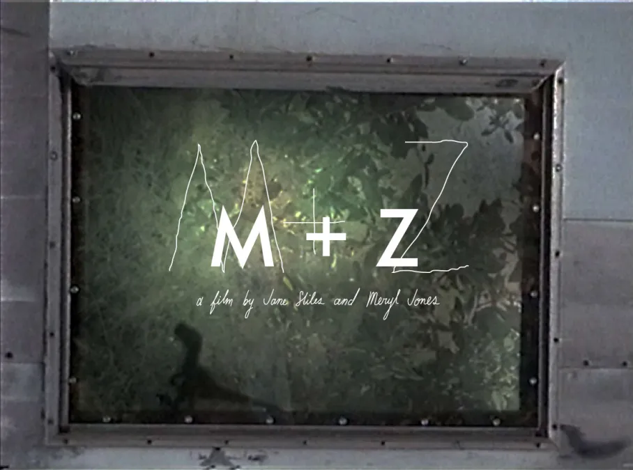 M + Z